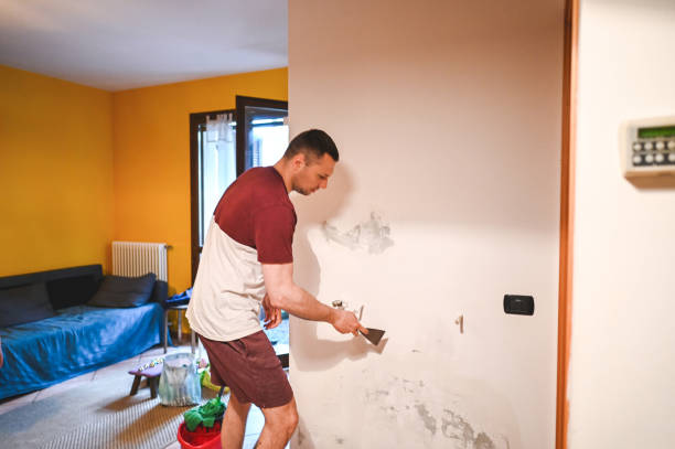 Best Health and Safety Mold Remediation in Zumbrota, MN